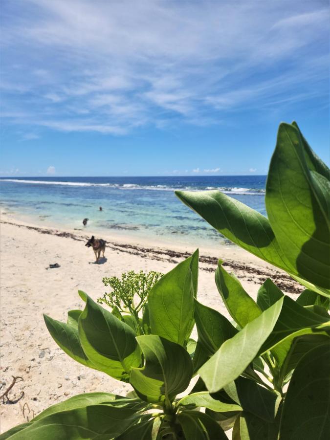 Green Villa Moorea Temae Buitenkant foto